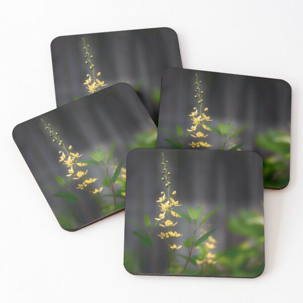 Item preview, Misty Yellow Flowers designed and sold by KbytesOfJax Outdoor and Nature.