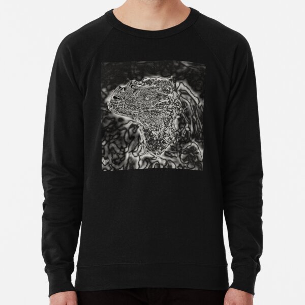 Spectral Darkness 3 Lightweight Sweatshirt
