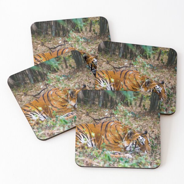 Item preview, Bengal Tiger Sleeping designed and sold by cliffgelb.