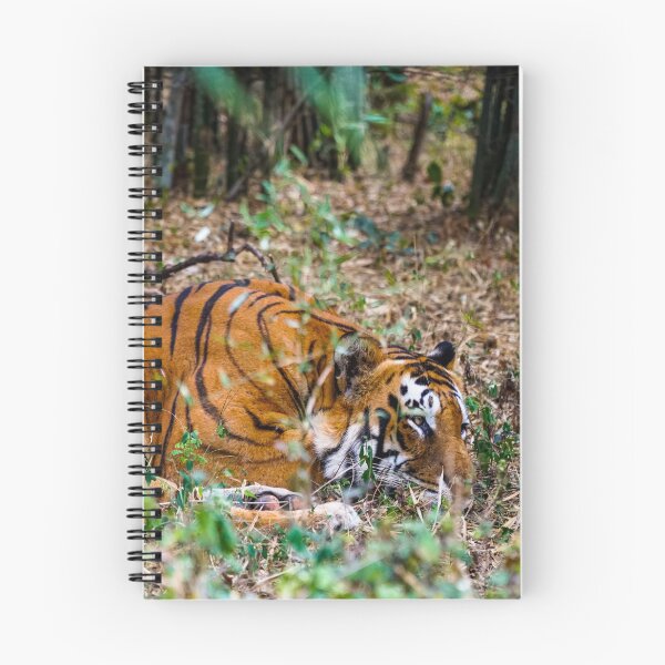 Item preview, Bengal Tiger Sleeping designed and sold by cliffgelb.