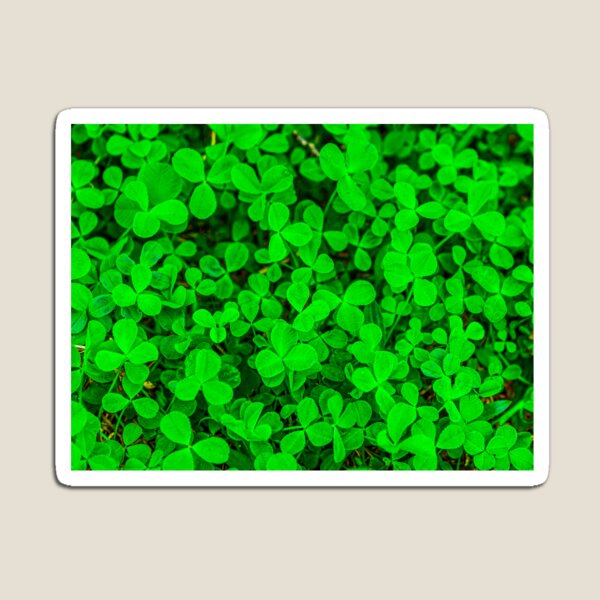 Item preview, Green Clover Patch designed and sold by srgreen.