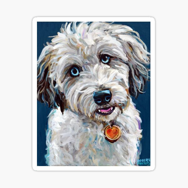 Item preview, Cute Blue Eyed Aussiedoodle designed and sold by RobertPhelpsArt.