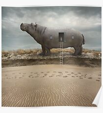 Hippohome Poster