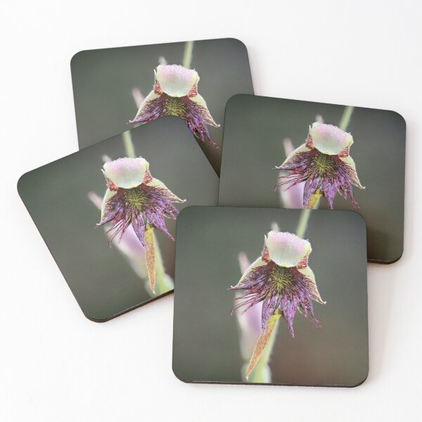 Item preview, Purplish Beard Orchid designed and sold by ausnative.