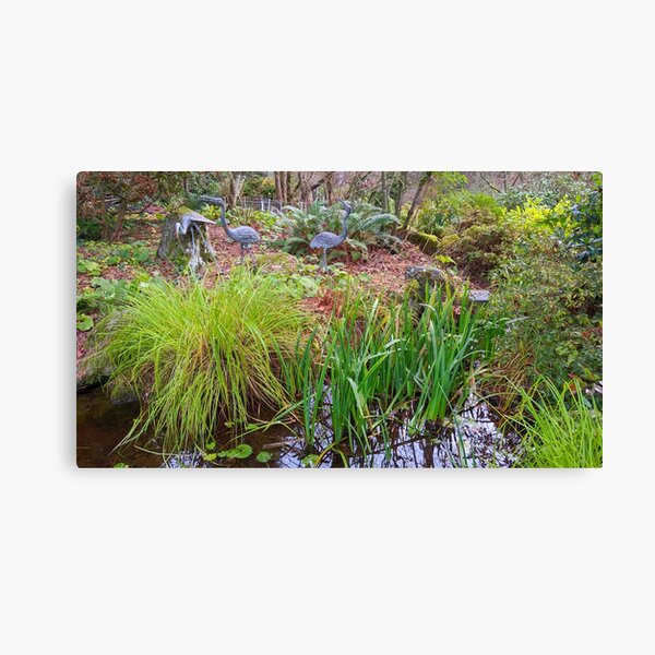 Hidden Storks in Bellevue Botanical Garden (Washington State) Canvas Print