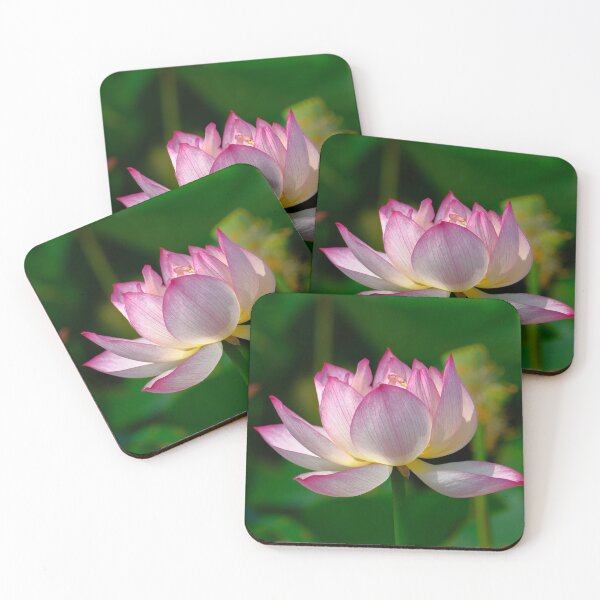 Item preview, Pink Lotus designed and sold by Gabrielle  Lees.