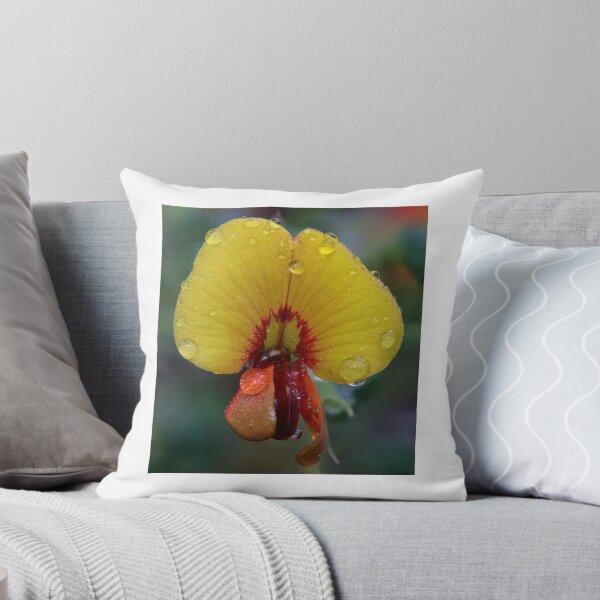 Item preview, Spiny Bossiaea designed and sold by ausnative.