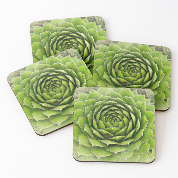 Item preview, Cute Succulent Watercolor designed and sold by LuxPNSilva.