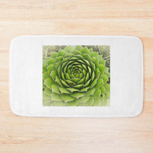 Item preview, Cute Succulent Watercolor designed and sold by LuxPNSilva.
