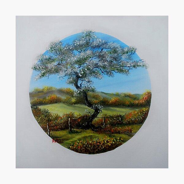 Item preview, The Fairy Tree - oil paintng designed and sold by Avril Brand.
