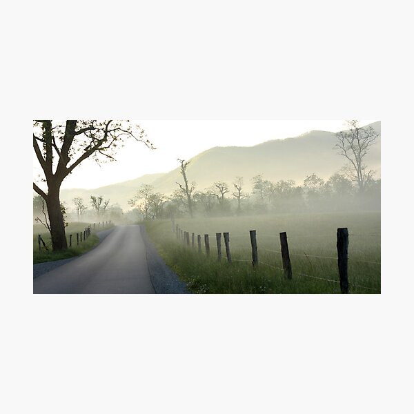 Item preview, Cades Cove Morning Mist designed and sold by J. L. Gould.