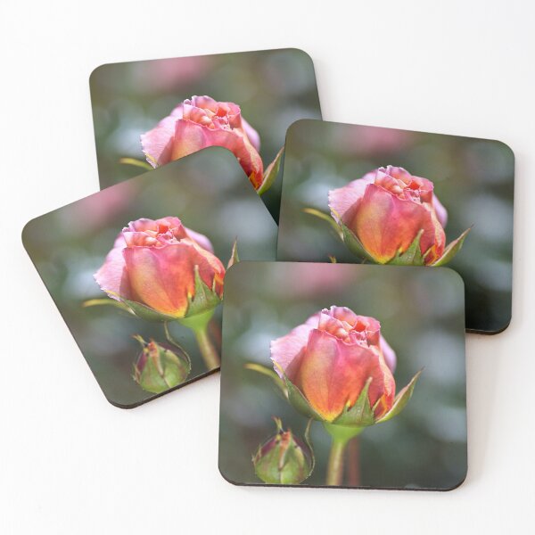 Item preview, New Buds Pink Roses designed and sold by Joy Watson - Natural Light Photography .