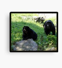 DOS AMIGOS Canvas Print