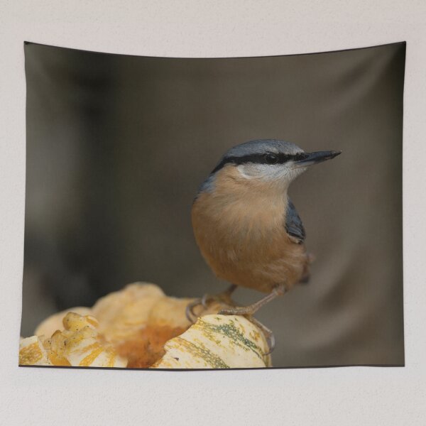 Item preview, Nuthatch On A Pumpkin designed and sold by rawshutterbug.