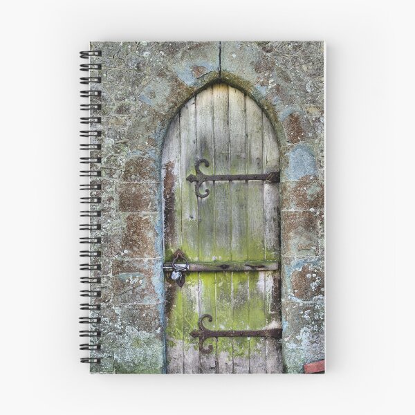 Item preview, The Locked Door designed and sold by JEZ22.