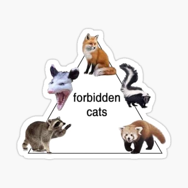 forbidden cats Sticker
