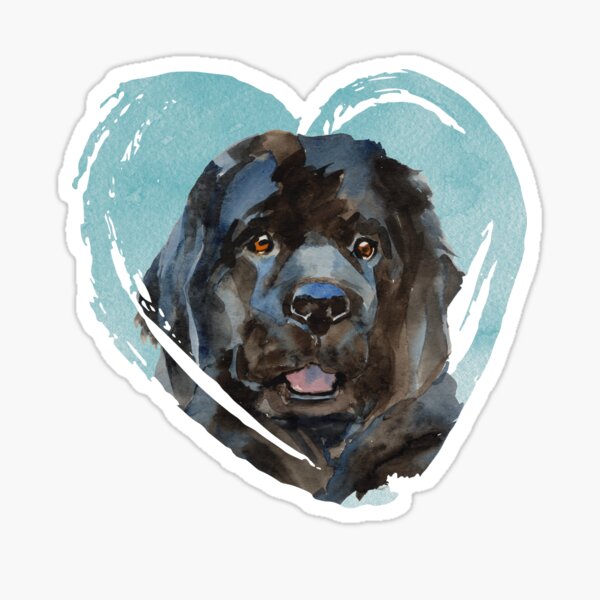 Watercolor Newfoundland Portrait Sticker
