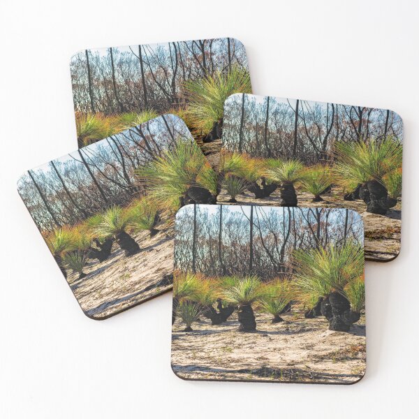 Item preview, First stages of recovery  designed and sold by Rainphotography.