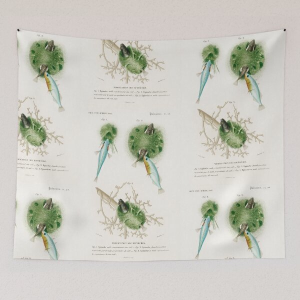 Item preview, Stickleback love nest fish vintage illustration  designed and sold by Vintage Designs +.