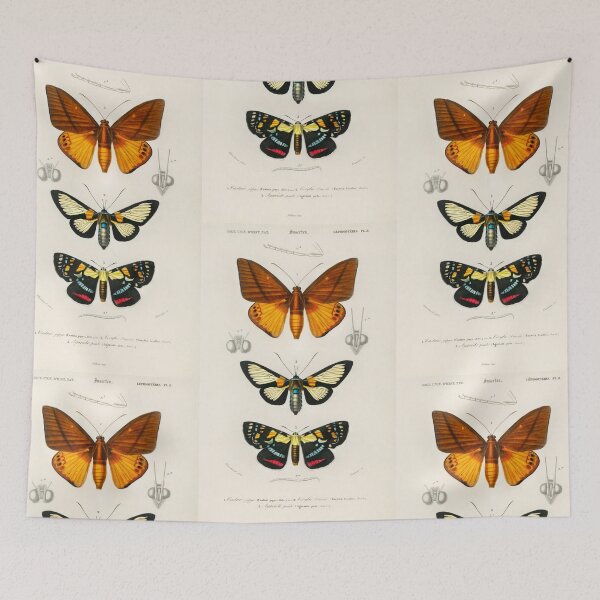 Artikelvorschau, Butterfly and moth species vintage illustration entworfen und verkauft von Vintage Designs +.