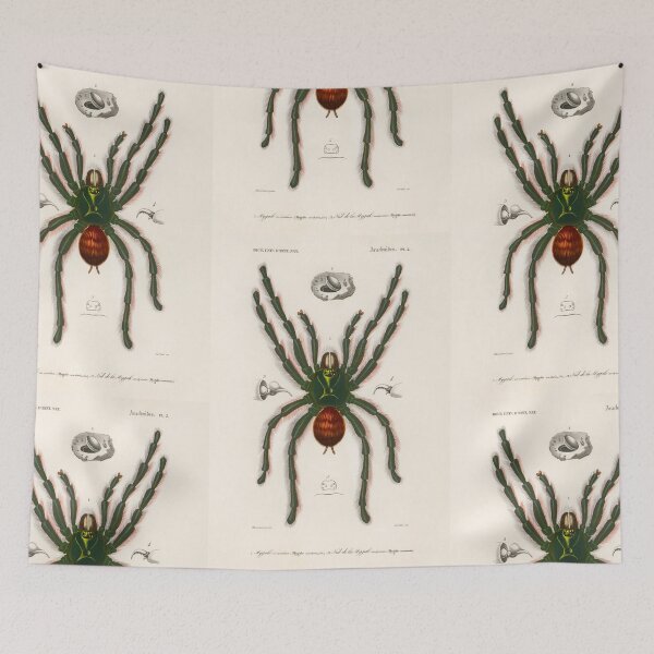 Item preview,  spider tarantula vintage illustration  designed and sold by Vintage Designs +.