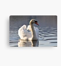 Lakedistrict Afternoons Canvas Print