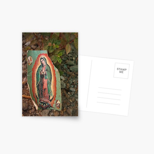 Virgen de Guadalupe Postcard