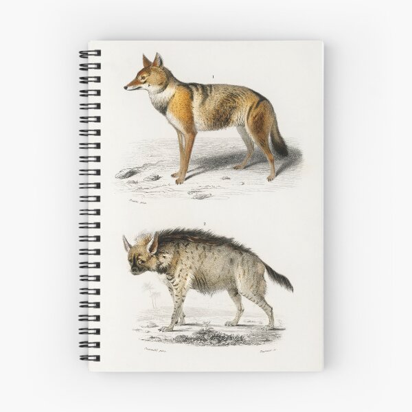Item preview, Wolf and Hyena vintage illustration  designed and sold by Vintage Designs +.