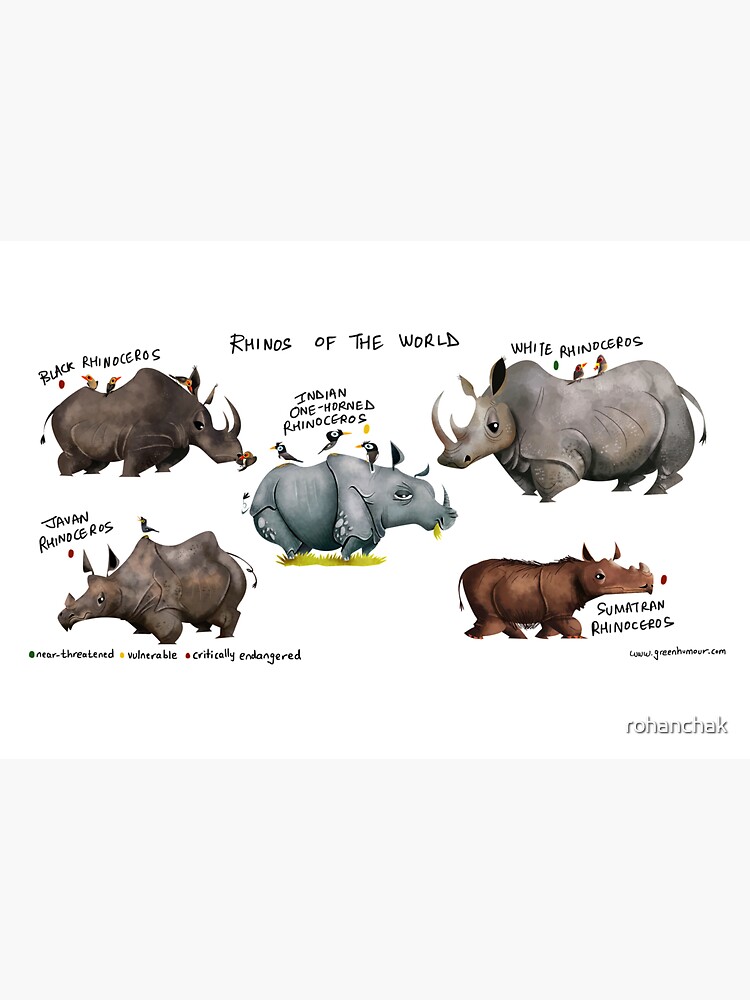 Rhinos of the World by rohanchak