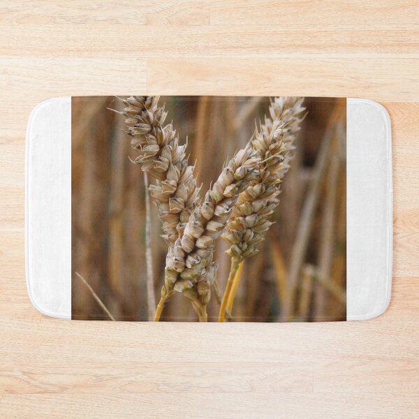 Item preview, Grain in the Field designed and sold by AnnDixon.