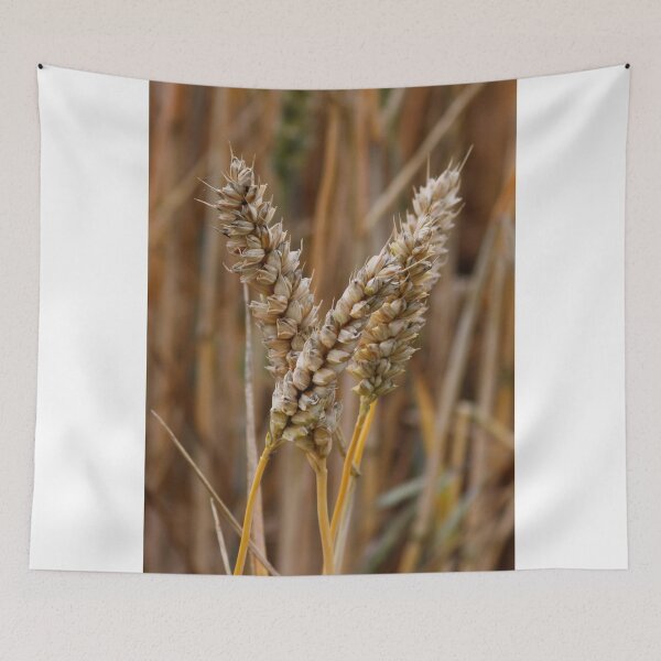 Item preview, Grain in the Field designed and sold by AnnDixon.