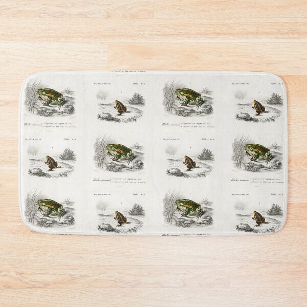 Item preview, Toad species vintage illustration designed and sold by Vintage Designs +.