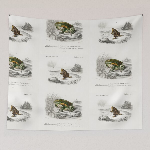 Aperçu de l'œuvre Toad species vintage illustration créée et vendue par Vintage Designs +.