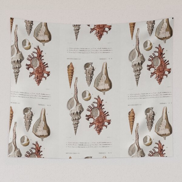 Artikelvorschau, Shell species vintage illustration entworfen und verkauft von Vintage Designs +.