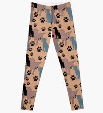 Legging Polainas de silueta floral para los amantes del laboratorio