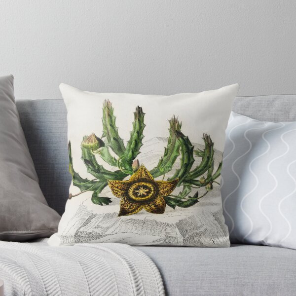Artikelvorschau, pretty succulent floral design vintage illustration  entworfen und verkauft von Vintage Designs +.