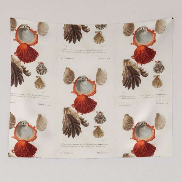 Item preview, mollusk species vintage illustration  designed and sold by Vintage Designs +.