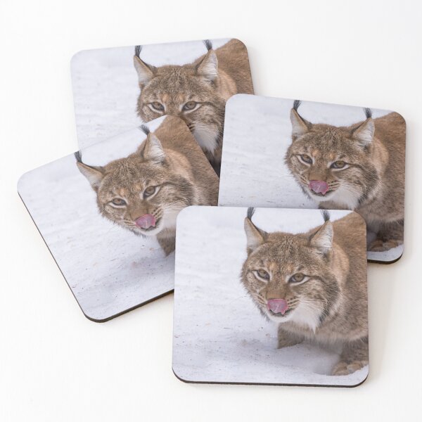 Item preview, Delicious! Lynx shows the tongue designed and sold by PhotoLux.