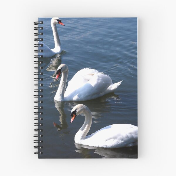 Item preview, Three mute swans designed and sold by pinoyborian.