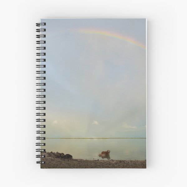 Artikelvorschau, Hopper Rainbow entworfen und verkauft von thegoldenratio4.