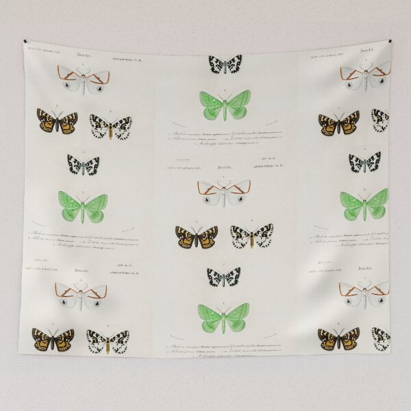 Item preview, Butterfly and moth species vintage illustration  designed and sold by Vintage Designs +.
