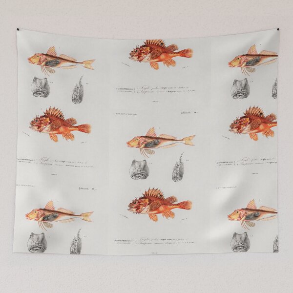 Item preview,  fish vintage illustration  designed and sold by Vintage Designs +.