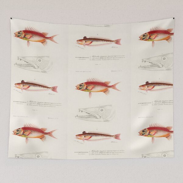 Item preview, fish vintage illustration  designed and sold by Vintage Designs +.