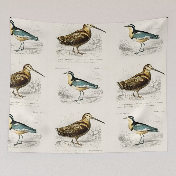 Artikelvorschau, Water birds of paradise vintage illustration entworfen und verkauft von Vintage Designs +.