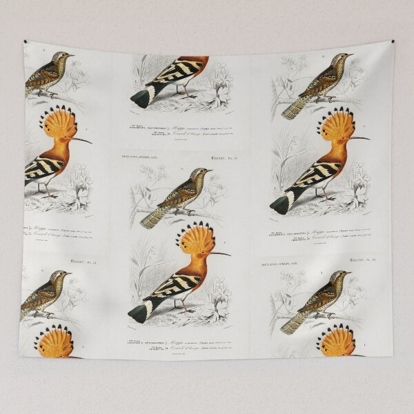 Aperçu de l'œuvre Exotic birds of paradise vintage illustration créée et vendue par Vintage Designs +.