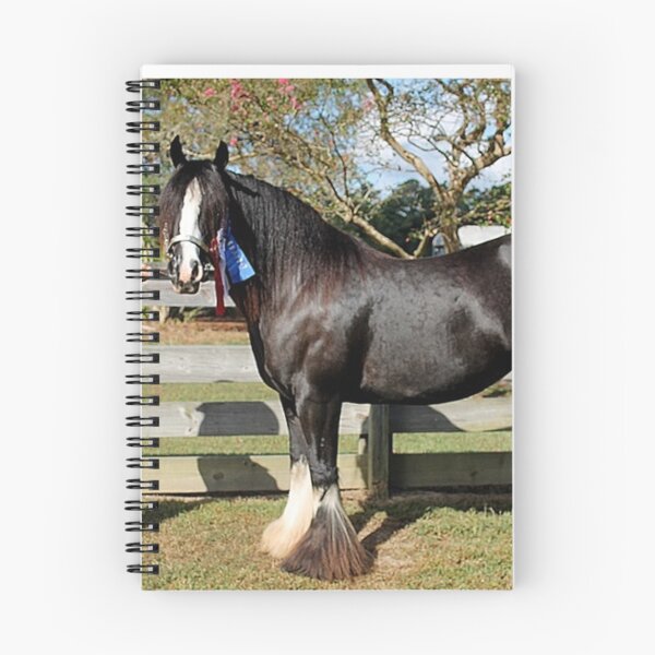 Item preview, DRHSC Sept. 19, 2015 (79) designed and sold by DLitefulImagery.