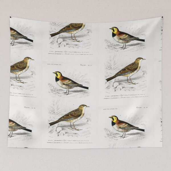 Artikelvorschau, birds vintage illustration entworfen und verkauft von Vintage Designs +.