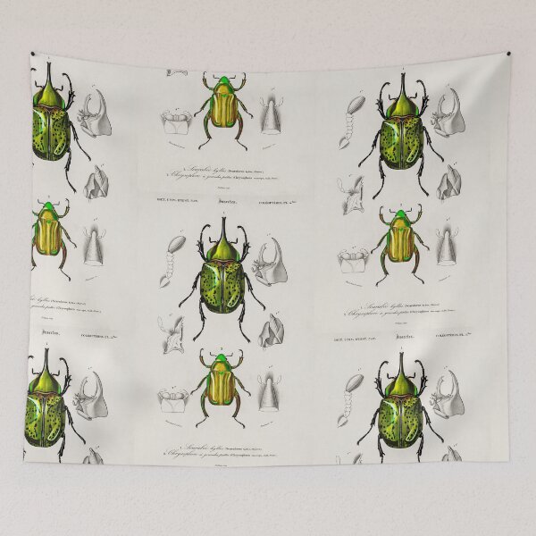 Item preview, Beetle bug vintage illustration  designed and sold by Vintage Designs +.