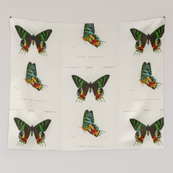 Artikelvorschau, Butterfly and moth species vintage illustration entworfen und verkauft von Vintage Designs +.