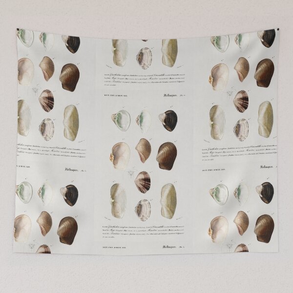 Artikelvorschau, Shell species vintage illustration entworfen und verkauft von Vintage Designs +.